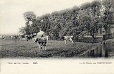 13899 Gezicht op een weiland met koeien te Nigtevecht; met rechts de houtopslag rond een boerderij. N.B. De gemeente ...